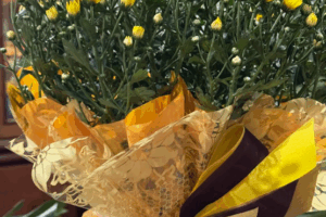Bouquets