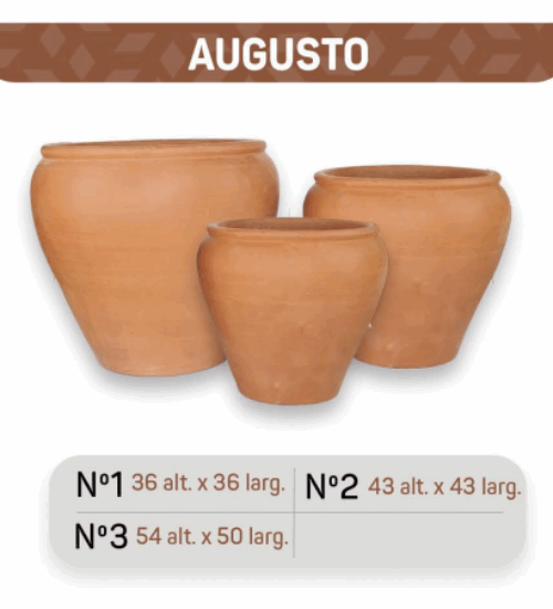 Vasos