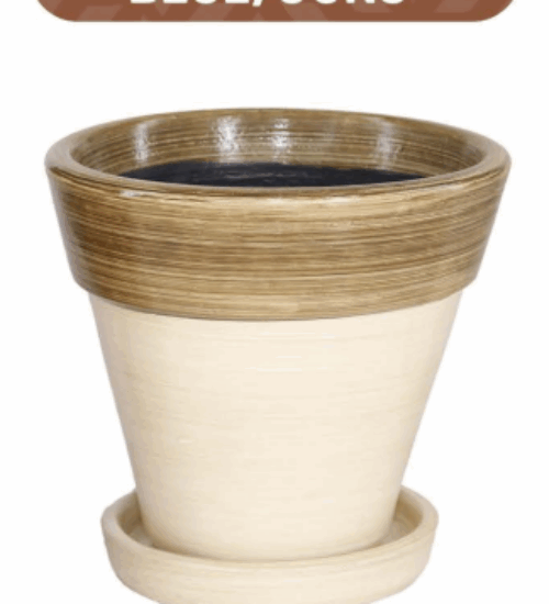 Vasos