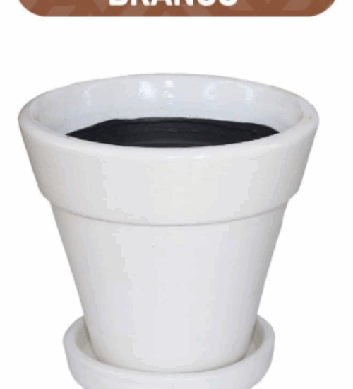 Vasos