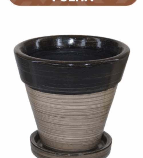 Vasos
