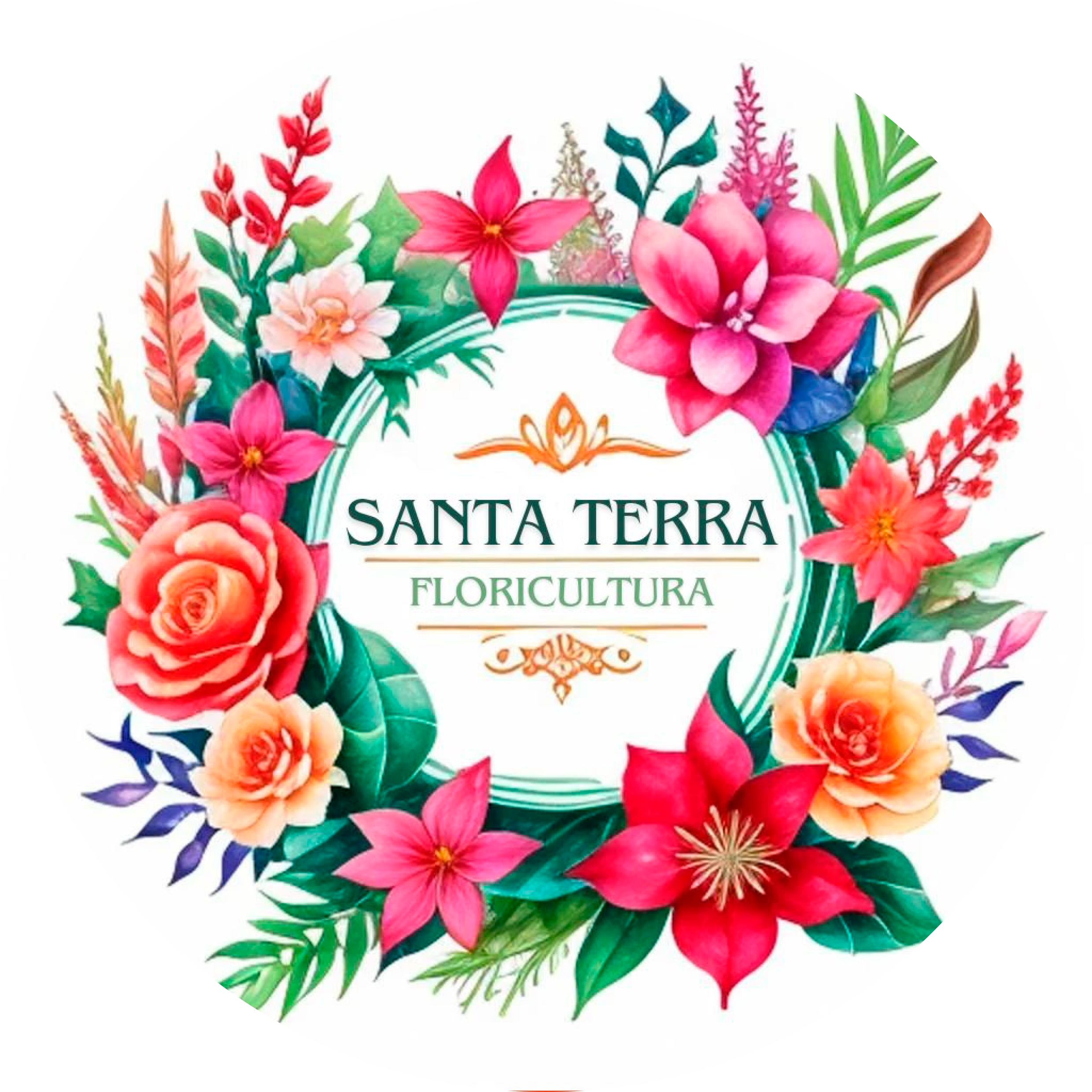 Santa Terra