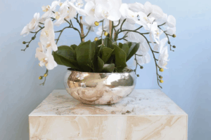 Captura de tela 2025-06-03 151621